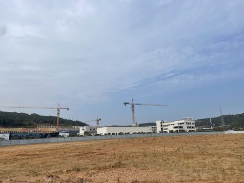 從實(shí)驗(yàn)樣品到市場產(chǎn)品 綿陽核醫(yī)學(xué)產(chǎn)業(yè)邁向百億目標(biāo)——新型工業(yè)化市州行報(bào)道