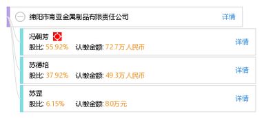 綿陽市南亞金屬制品有限責任公司網站開發解決方案